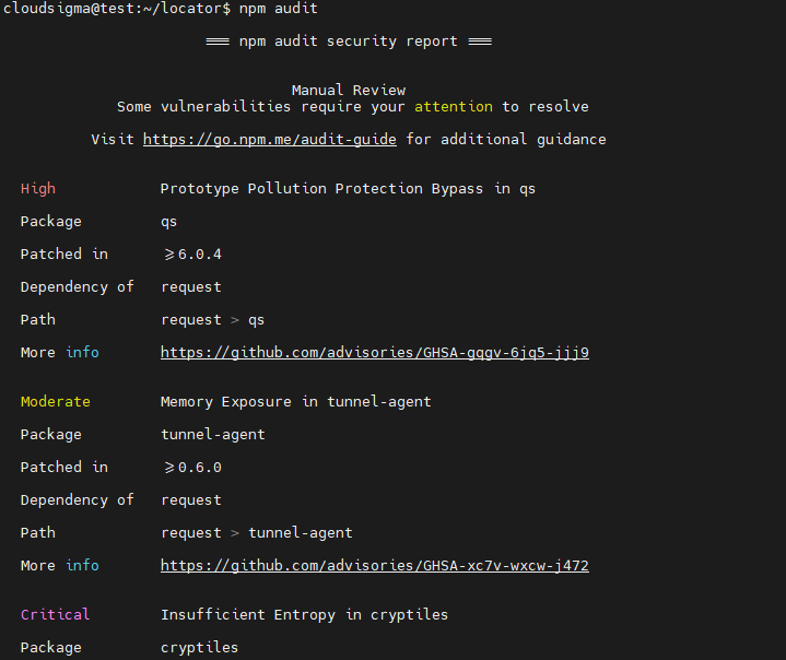 Node.js Modules Audit security report