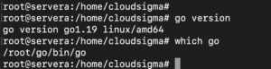 Import Packages in Go check go version