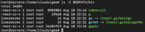 list gopath files