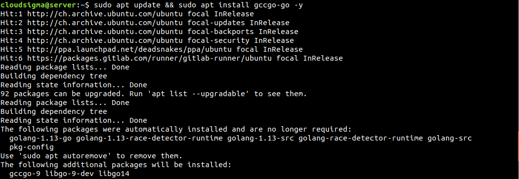 Installing Go 2