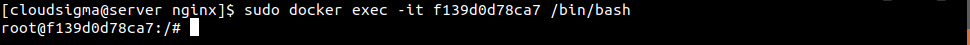 sudo docker exec -it