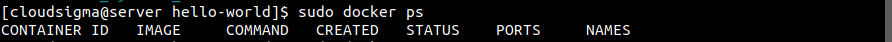sudo docker ps