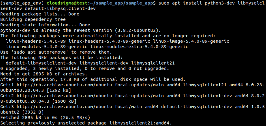 python3-dev