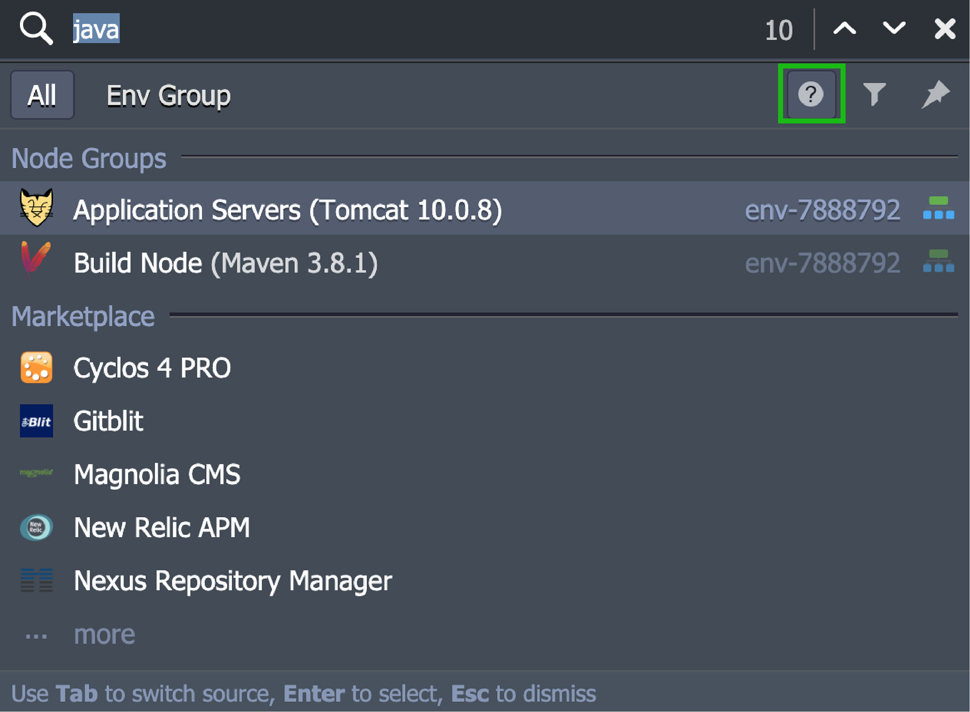 PaaS Dashboard Env groups