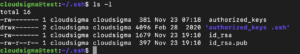 list files in .ssh folder