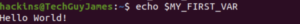 echo variable
