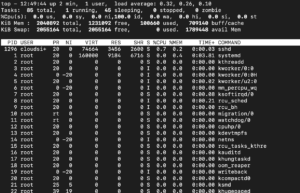 top command output