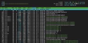 htop command output