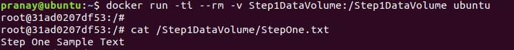 Docker Volume Content 1