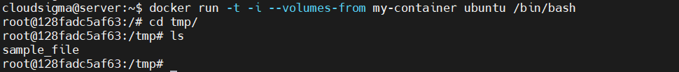 Docker Data Volumes 3 New container sample file