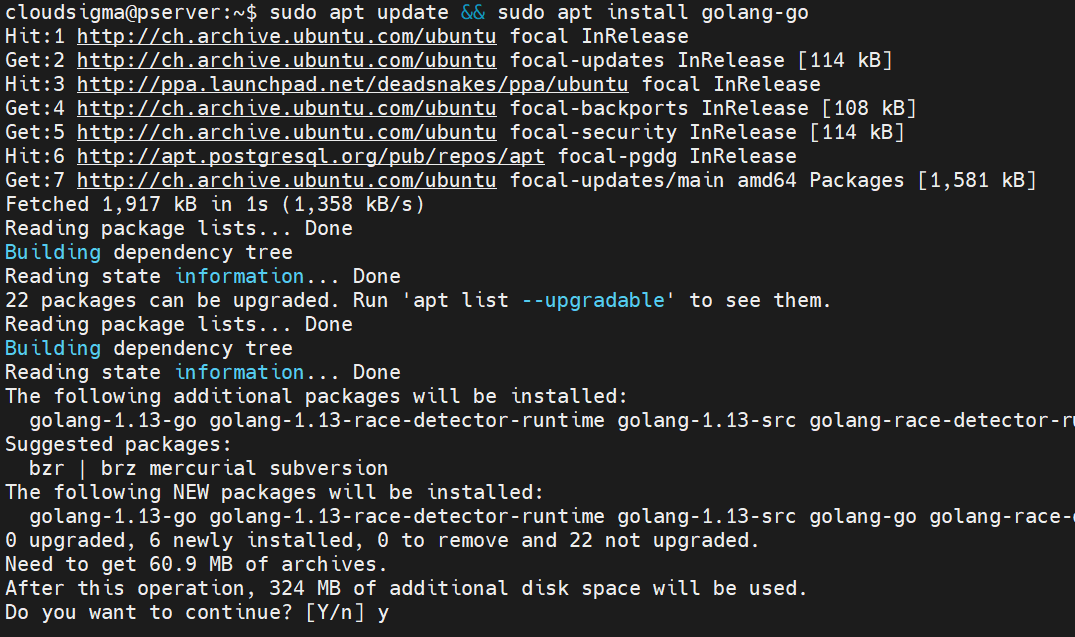 Go Programs apt update and go install 