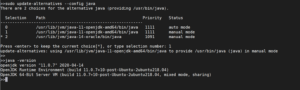 Changing Default JAVA Version