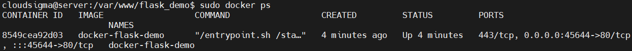 Demo Docker
