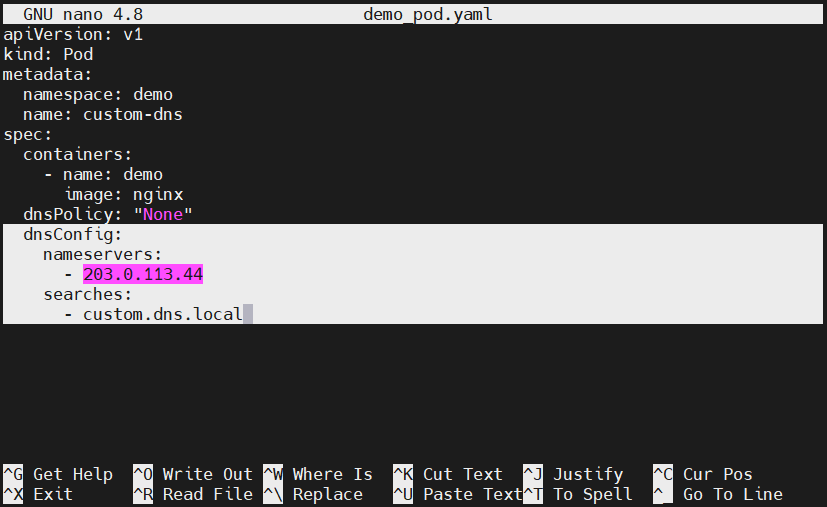Kubernetes DNS Demo Pod Yaml