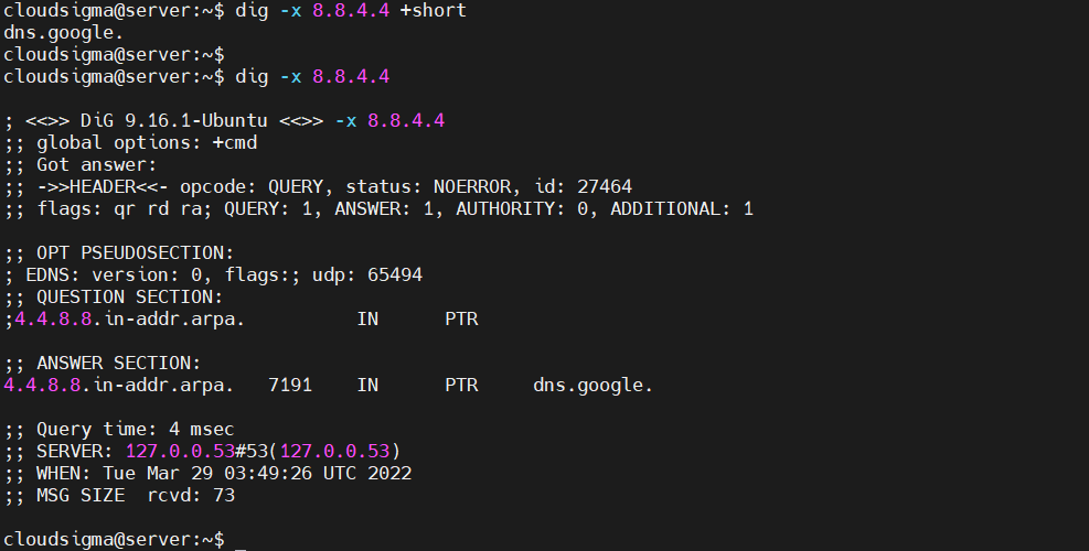 dig output