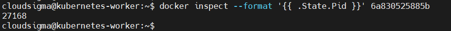 docker inspect