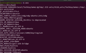 environment variables Environmental and Shell Variables