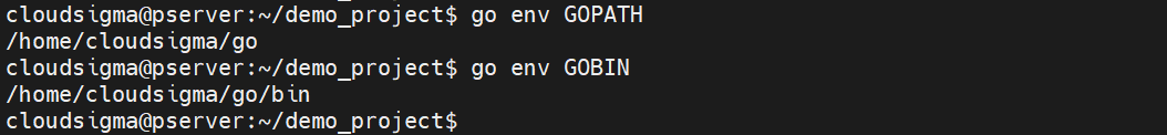 go env path