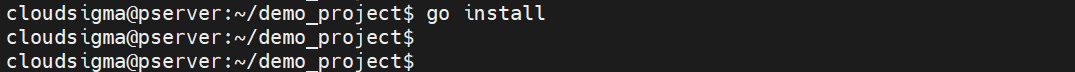 go install