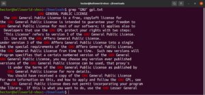 literal matching grep