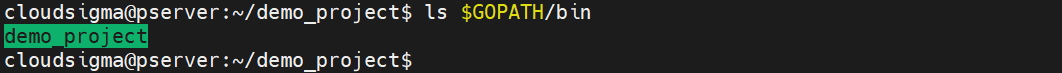ls go path