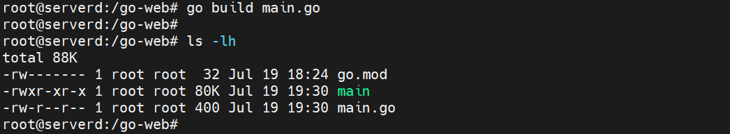 Go Web Application ls -lh