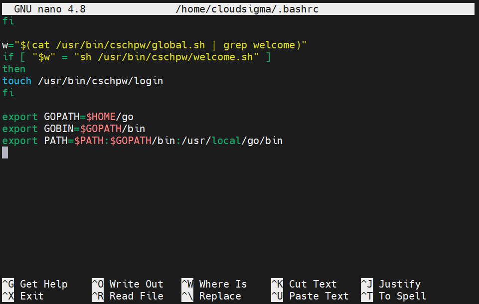 Go Programs nano bashrc modified
