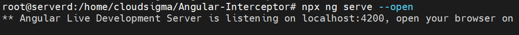 ng serve Angular Interceptors