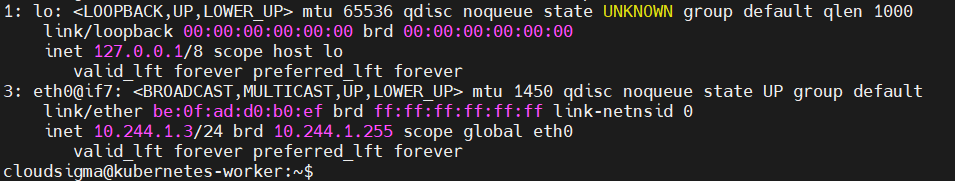 nsenter ip addr