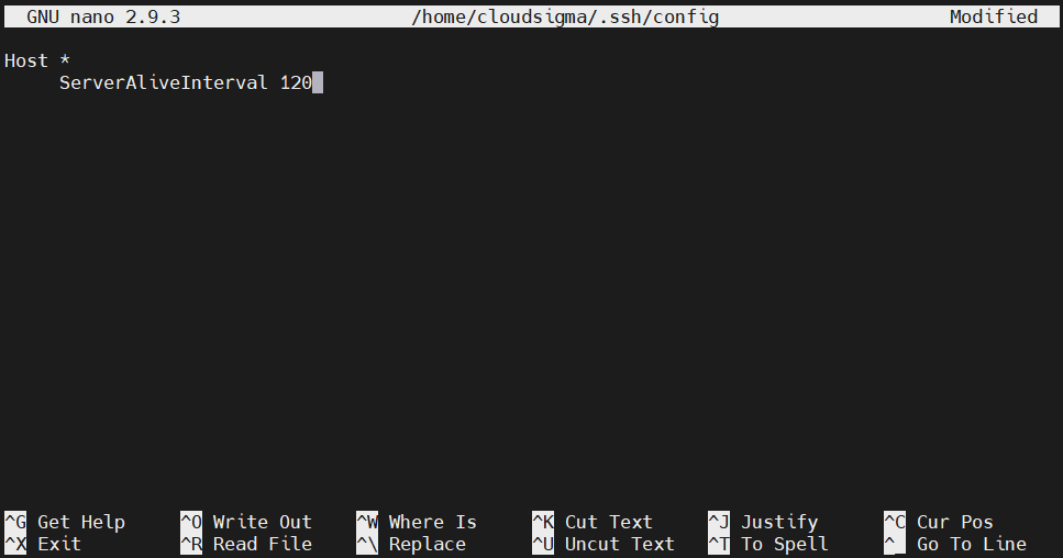 Server Alive Interval