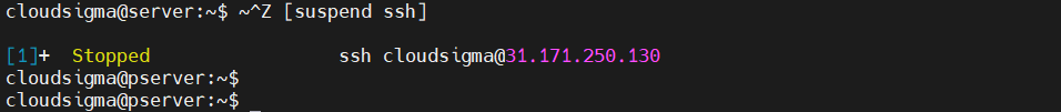 SSH Background Session