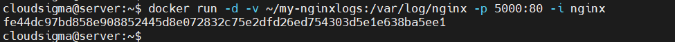 Docker run nginx container