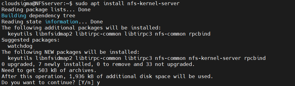 Install nfs kernel server